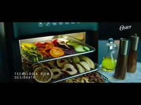 Fritadeira Super Fryer 10L Oster 3 em 1